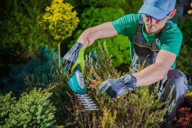 landscaping services Perryville
